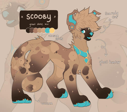 SHADED DUO SHADED DUO