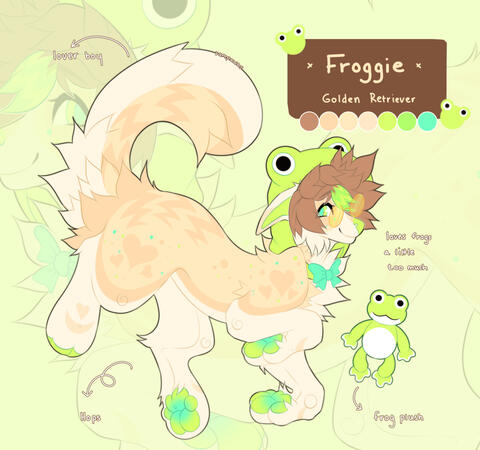 SHADED DUO SHADED DUO