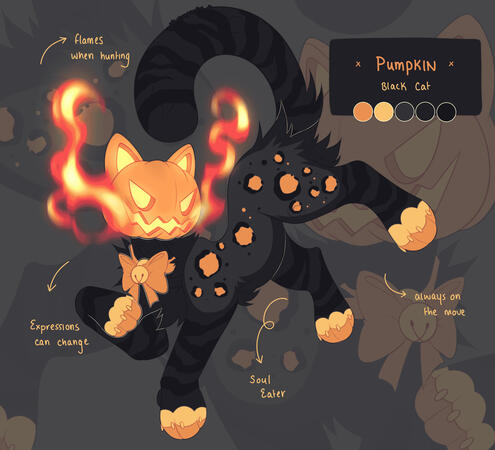 SHADED DUO SHADED DUO